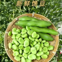 推荐蚕豆角春季蚕豆角现摘蚕豆当季鲜货价格实惠欢迎老板联系