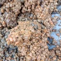 黄豆酱油渣。蛋白高脂肪高，有包装