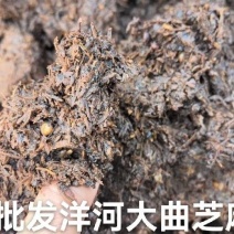 大量批发双沟.洋河芝麻香.五粮浓香