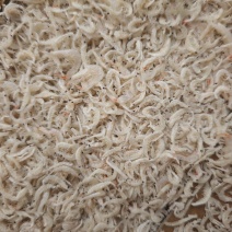 引子虾虾皮小虾皮