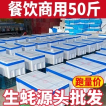 精品生蚝全国批发，厂家源头供应，商用生蚝对接商超市场