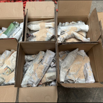 黄粉虫高质量虫卵，带指导简单养殖技术方便孵化。