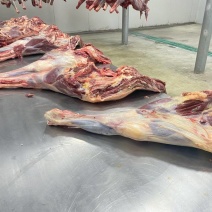 鲜驴肉