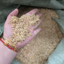 除尘过筛稻壳，酿酒酿醋，一天两挂车，大量有货