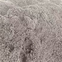 脱水压榨菠萝渣