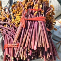 贵州蕨菜