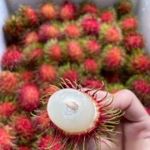5斤红毛丹】顺丰当季新鲜毛丹果热带毛荔枝热销保亭水果1-
