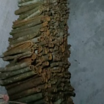 桂皮