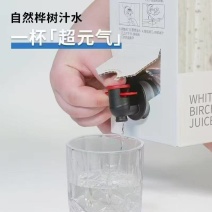 长白山自然桦树汁水白桦树原液产地直发批发直销一件代发