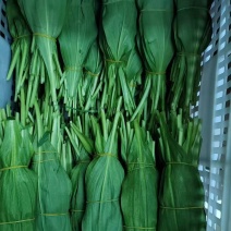 山葱叶大量供货新鲜采摘也有腌制好的品质保证欢迎来电
