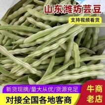 【白不老芸豆】原产地供货无丝半丝鲜嫩不老条形好长度长20起