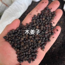 木姜子树苗用种子山胡椒贵州苗种四季种籽籽草种子