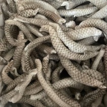 清江鱼皮