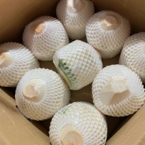 海南削皮青椰9个装