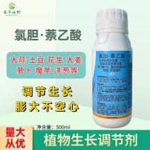 21%氯胆萘乙酸氯化胆碱地下根茎膨大大蒜大姜萝卜