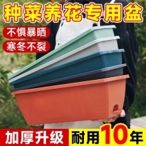 阳台种菜盆种菜神器家庭阳台蔬菜长方形塑料长条花盆槽