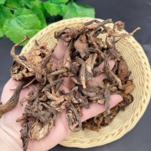 正宗东北特产榛蘑干货新鲜晾晒非野生山珍干货包邮