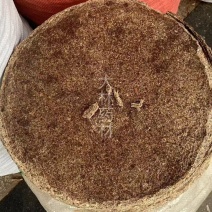茶粕茶麸【包邮】三斤起发货可批量可零售量大从优