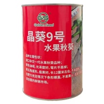 晶葵9号水果秋葵种子日本进口品种7000粒高产黄秋葵种子