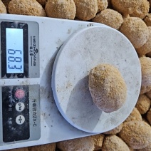 传统工艺特色特大变蛋自产自销对接全国各大商超
