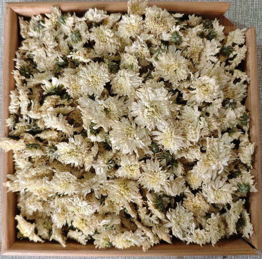 枸杞与杭白菊组合冲泡图：透明玻璃杯中，橙红枸杞沉底，金黄胎菊浮于上层，汤色澄澈微黄，杯壁无沉淀