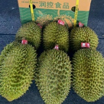 越南金枕榴莲一手货源价格实惠质量稳定全国发货诚信经营