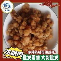 批发桂圆肉各种规格实体店供应
