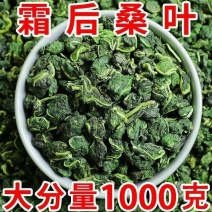 桑叶茶老树霜后桑叶茶正品新鲜霜后桑叶干新鲜桑叶冬桑叶泡茶