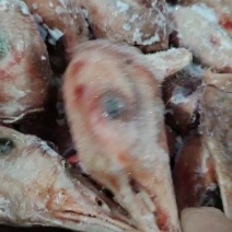 带舌仔鹅头