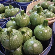小圆瓜
