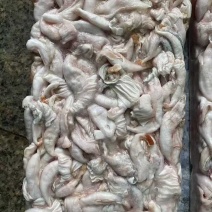 牛蛙肚有货