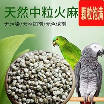 火麻仁批发中草药材原材鸽粮鸟食麻子麻籽散装颗粒饱满仓鼠粮