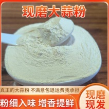 纯大蒜粉商用蒜粉烧烤腌料调味