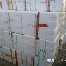 二手泡沫箱
