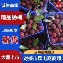 云南高山杨梅，产地首货，品质保证，诚信经营