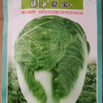 夏宝吉夏南韩绿冠抗热白菜种子抗病品质好耐热品种