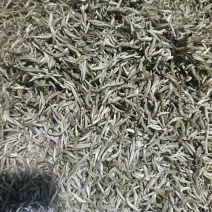 白茶包