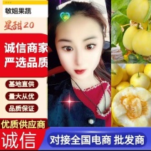 〔实力〕星甜二十/山东甜瓜/山东费县星甜十/现摘现发货，