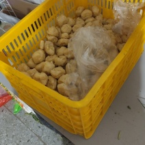 油豆腐