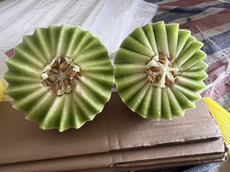 玉菇甜瓜被纵向切开,展示其洁白细腻的果肉和少量种子,背景为木质桌面,突出自然感 玉菇甜瓜切开展示果肉