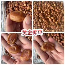 黄金椰枣阿联酋伊拉克枣地摊电商批发黄金椰枣干干椰