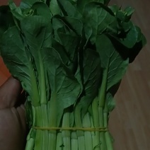 白菜苔