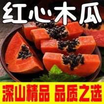 云南红心木瓜，支持电商社区团购一件代发