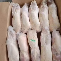 一级2.7斤白条鸭