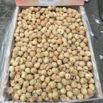 无花果AA++优质好果批发大量，欢迎全国采购商致电