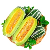 《山东甜瓜》博洋甜瓜已大量上市熟度好，糖度高，可对接电商