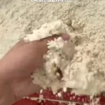 发酵豆渣