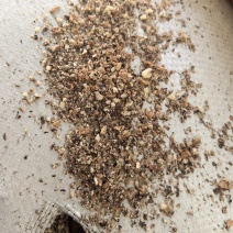 核桃仁沫子榨油料