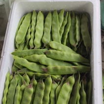 一点红油豆