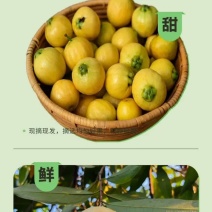 谁有货源联系我